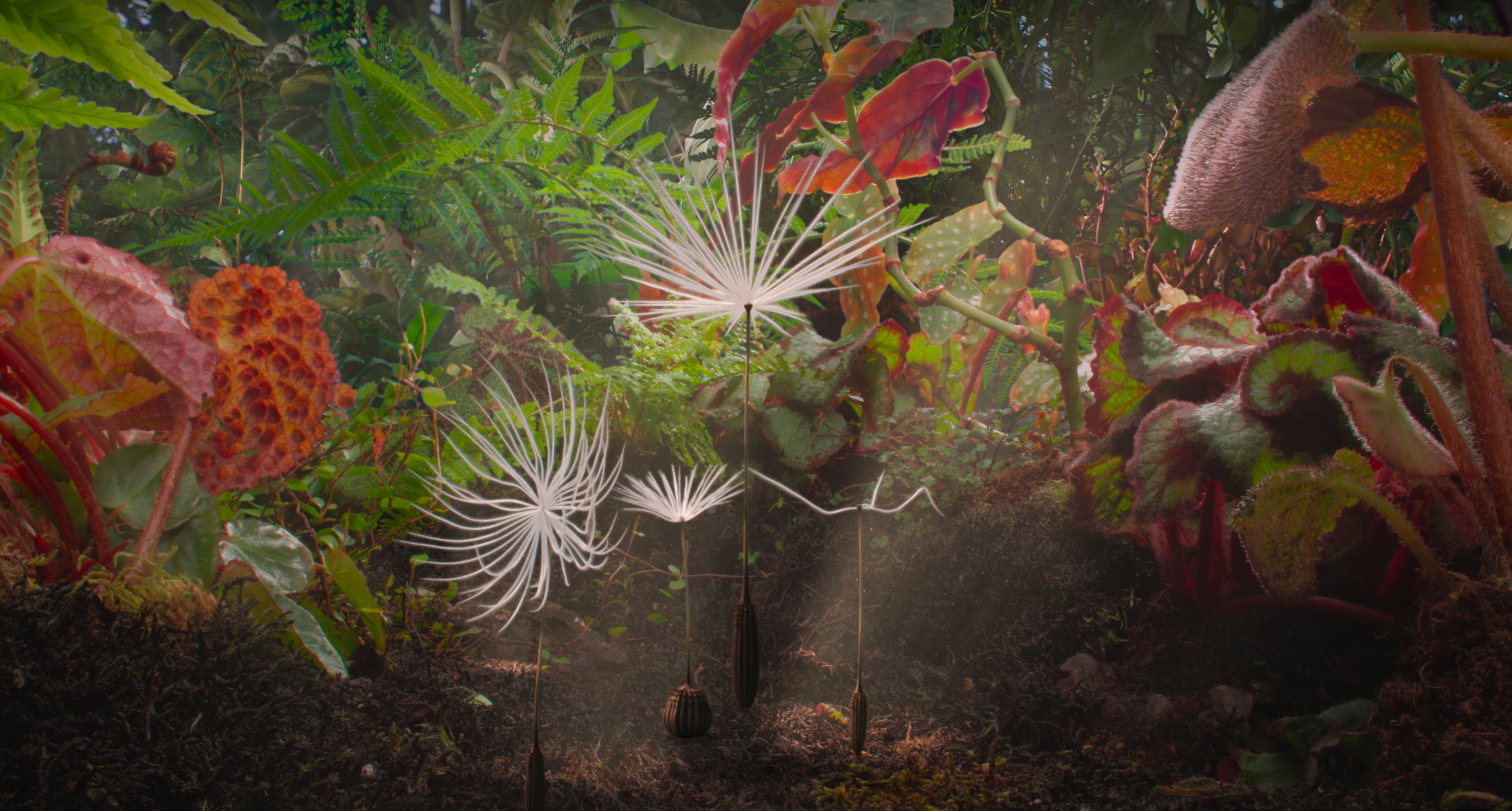 Dandelion's Odyssey